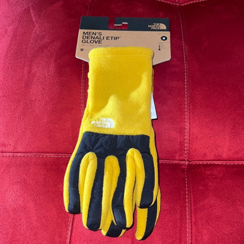 TNF MENS Denali Thermal ETIP GLOVES